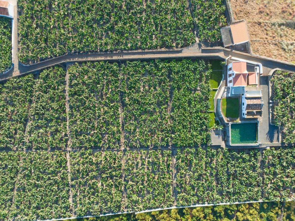 Hacienda Los Orovales Puerto de la Cruz  Eksteriør billede