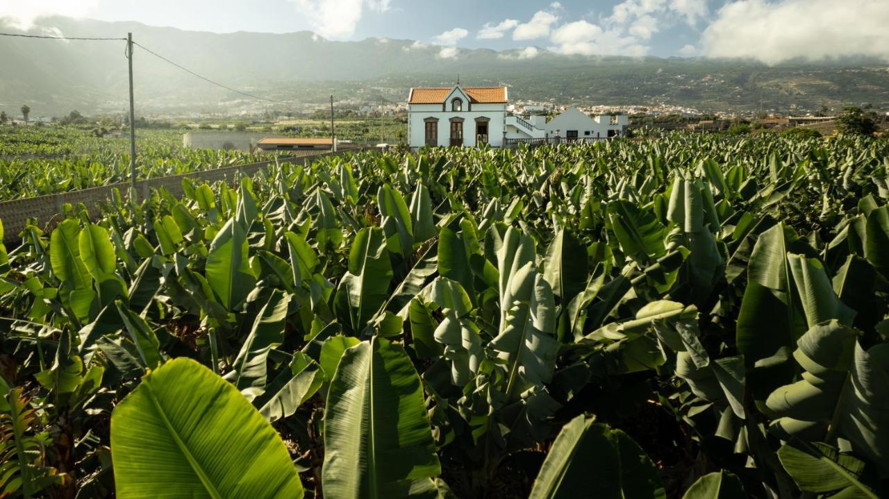 Hacienda Los Orovales Puerto de la Cruz  Eksteriør billede