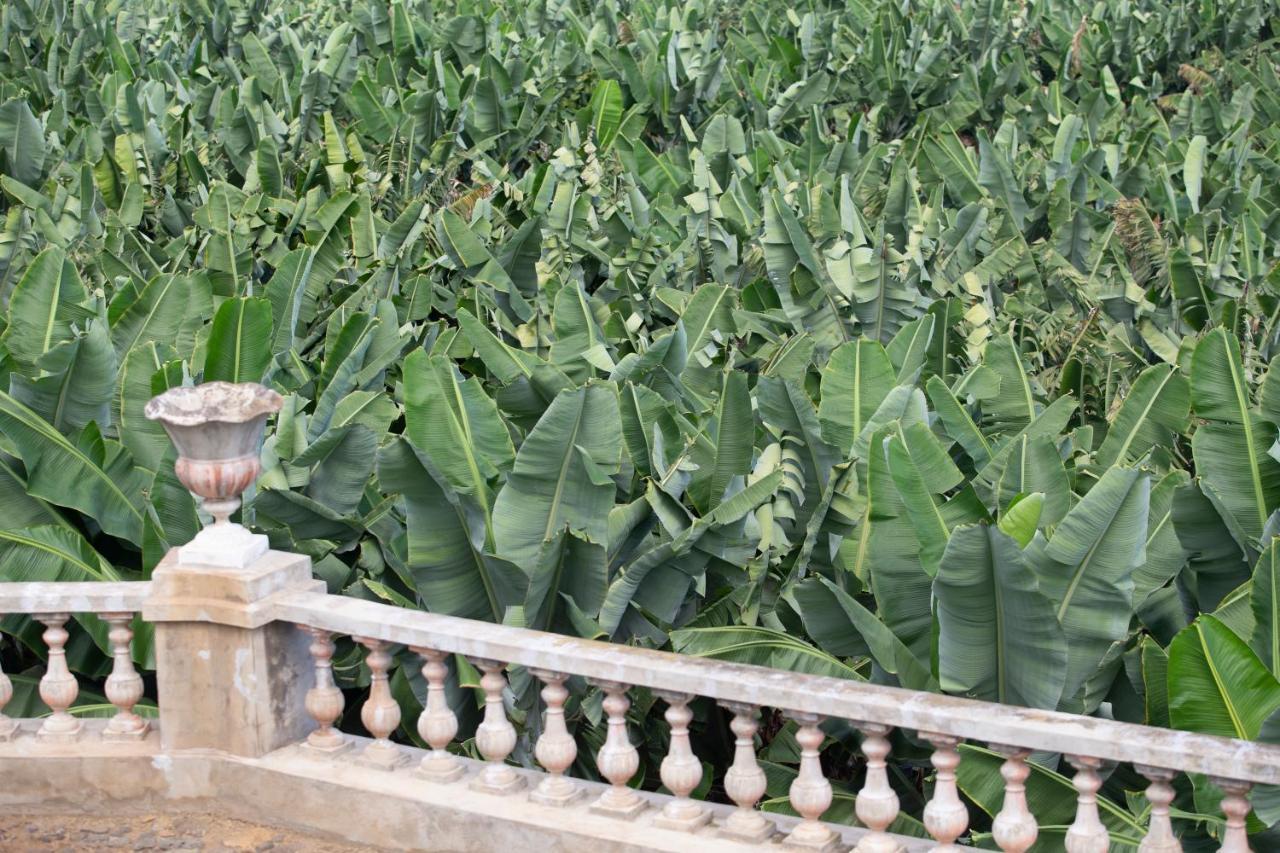 Hacienda Los Orovales Puerto de la Cruz  Eksteriør billede